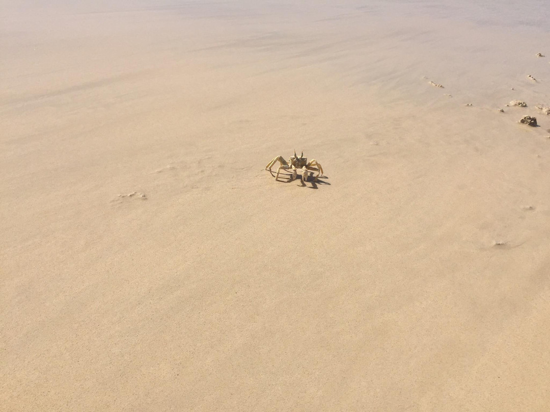 Arman Show-博阿维斯塔必去景点