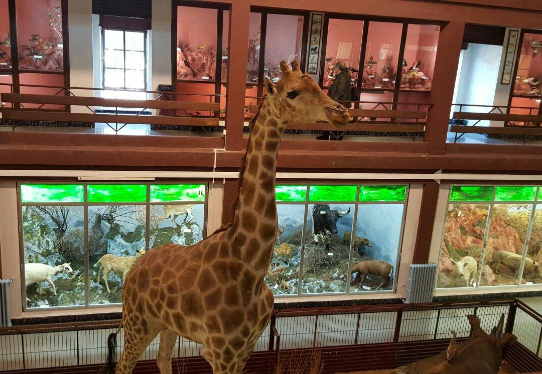 Museo de Ciencias Naturales El Carmen景点图片