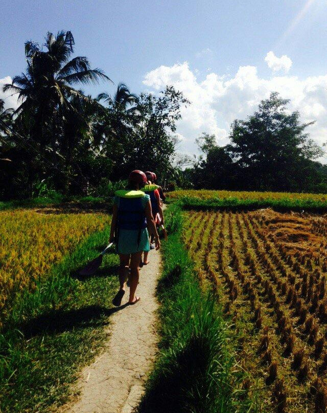 Stunning Bali Tours-水明漾必去景点