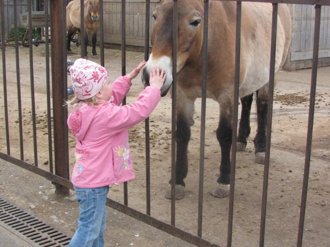 Ivanovo Zoo-伊凡诺沃必去景点