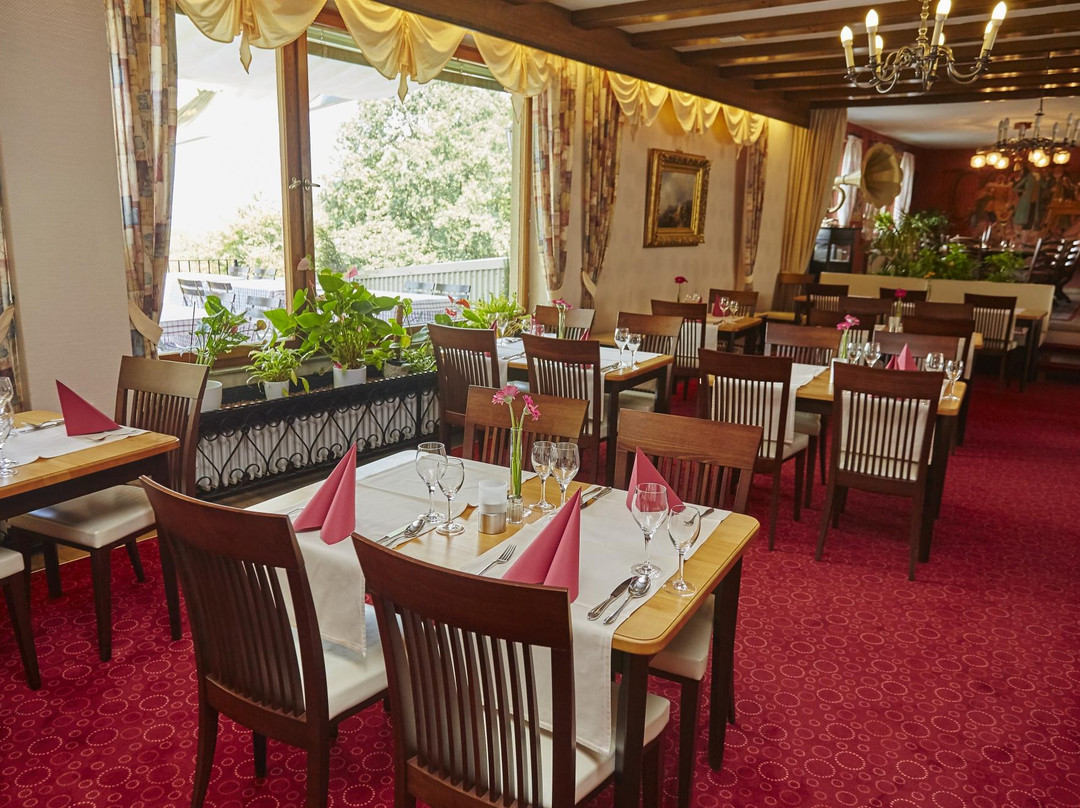 Schillingsfurst餐馆和美食-Restaurant Frankenhohe