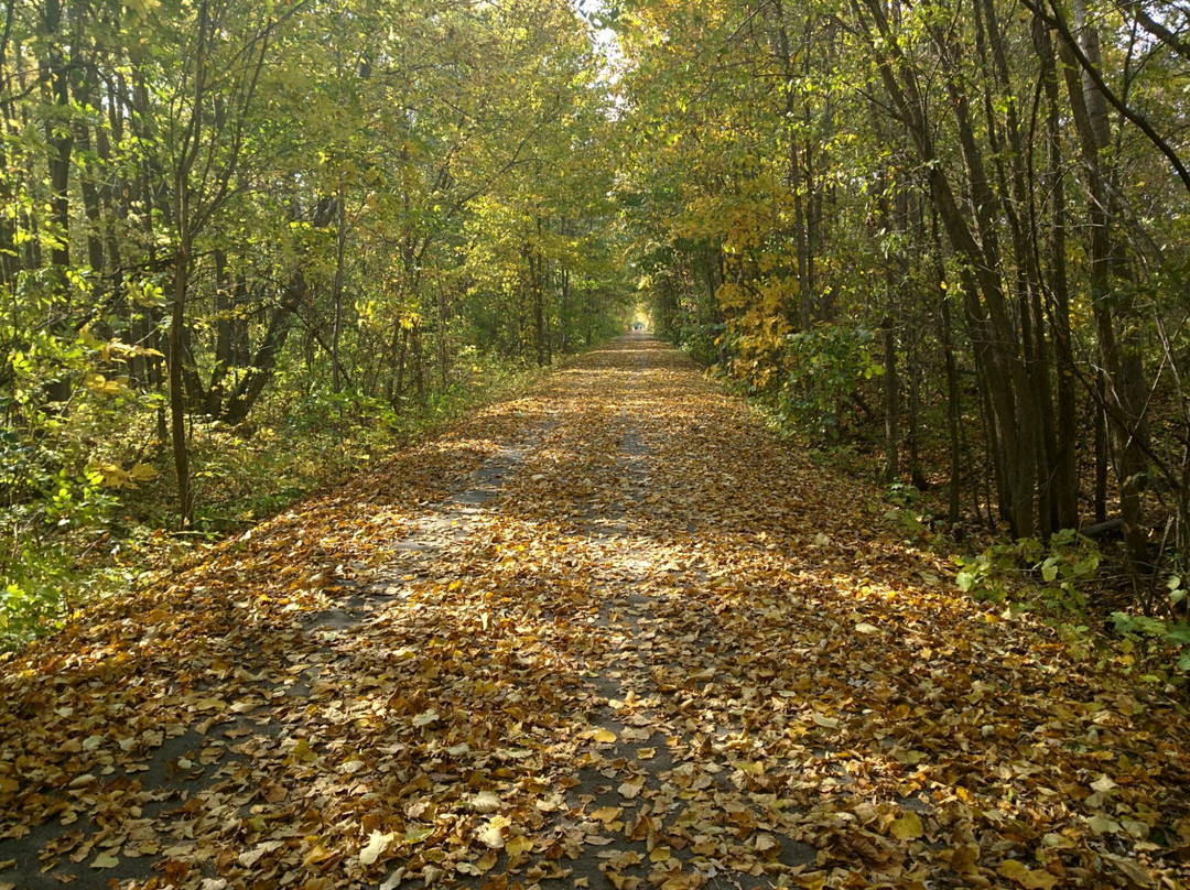 Macomb Orchard Trail-Richmond必去景点