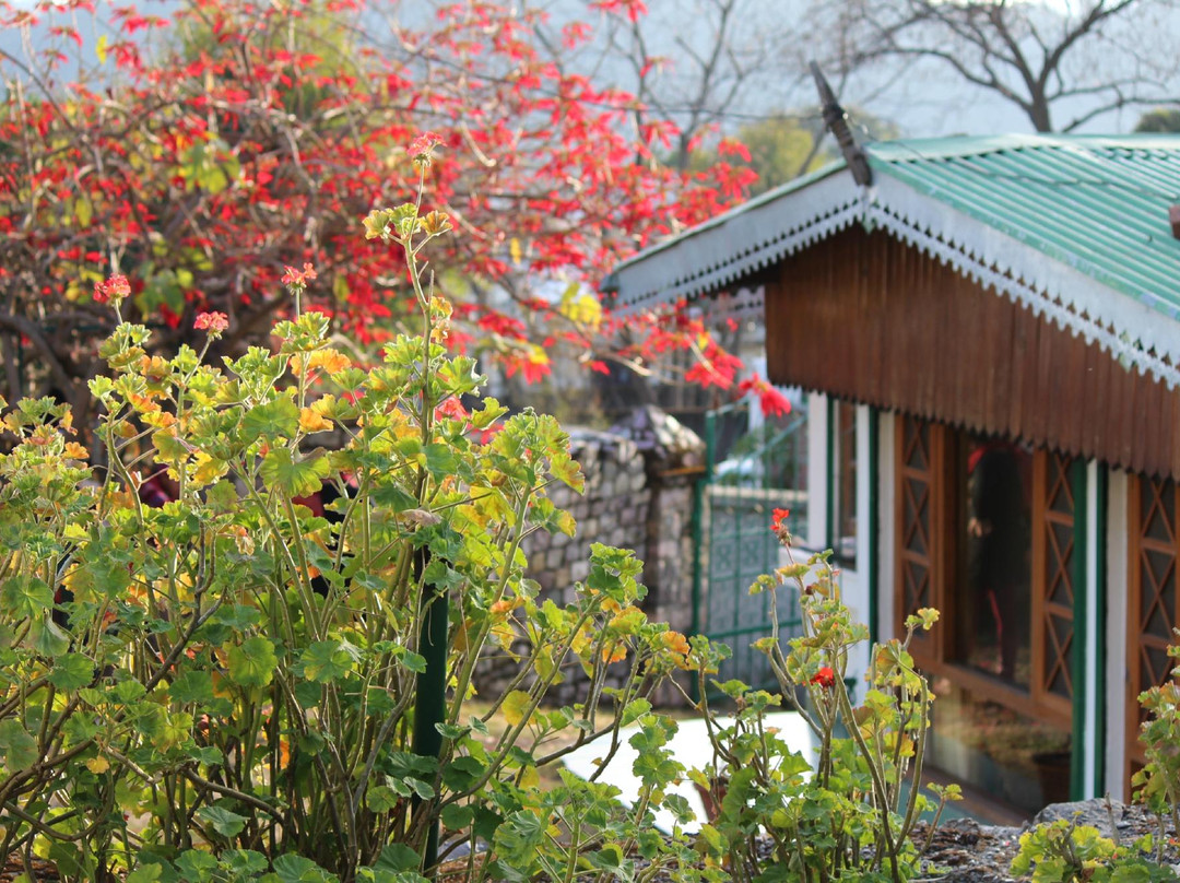 Mahargaon酒店住宿-Whistling Pines Luxury Cottages