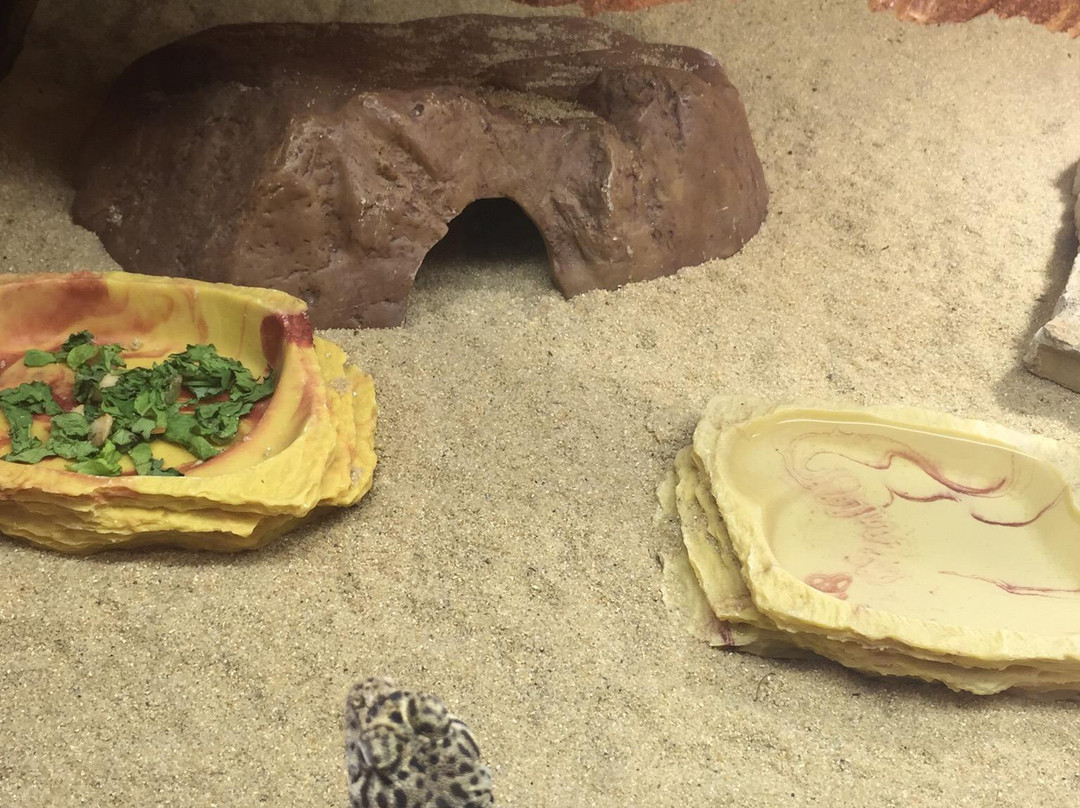 Rheinpark-Center-诺伊斯必去景点