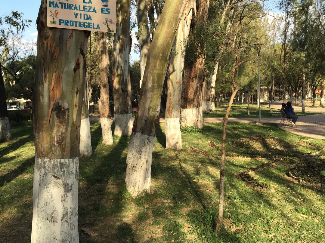 Parque La Costanera-塔里哈必去景点