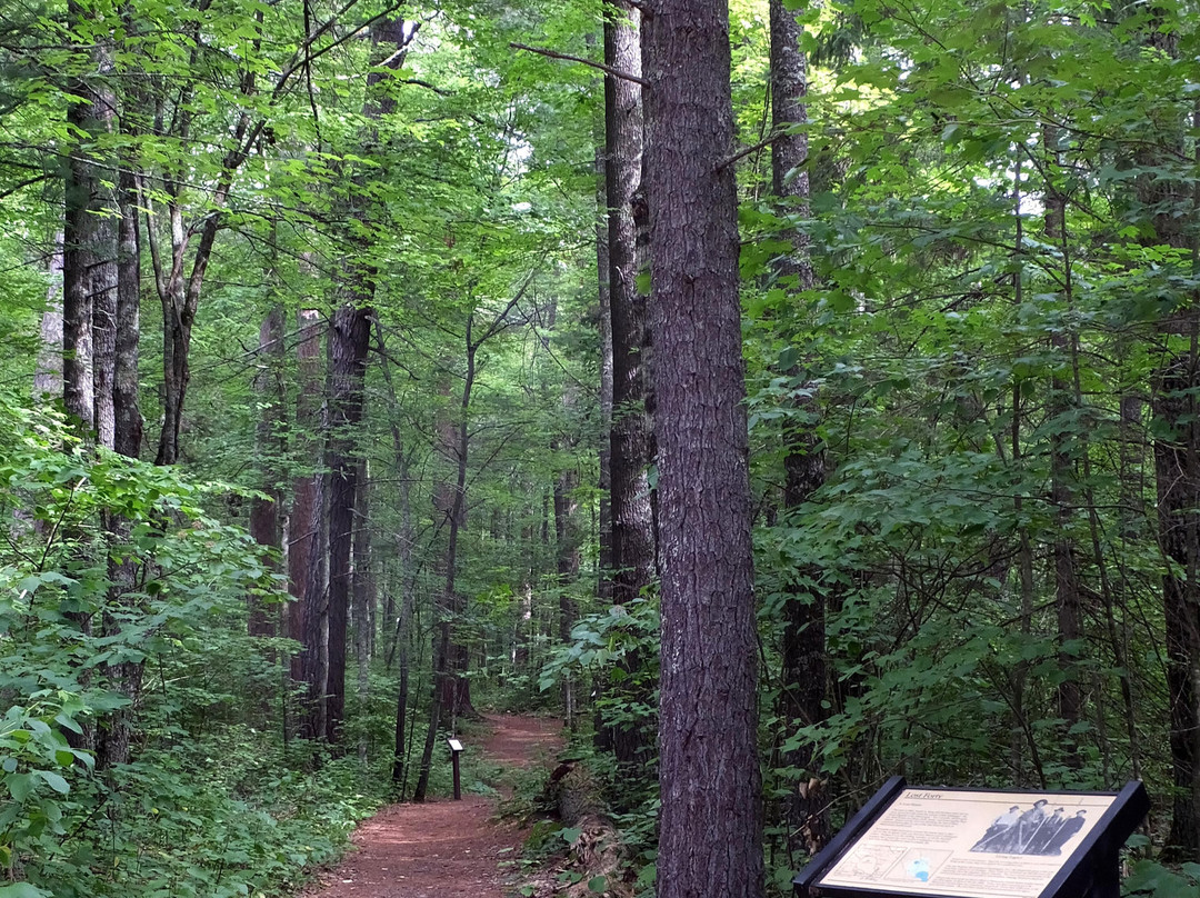 Chippewa National Forest-Cass Lake必去景点