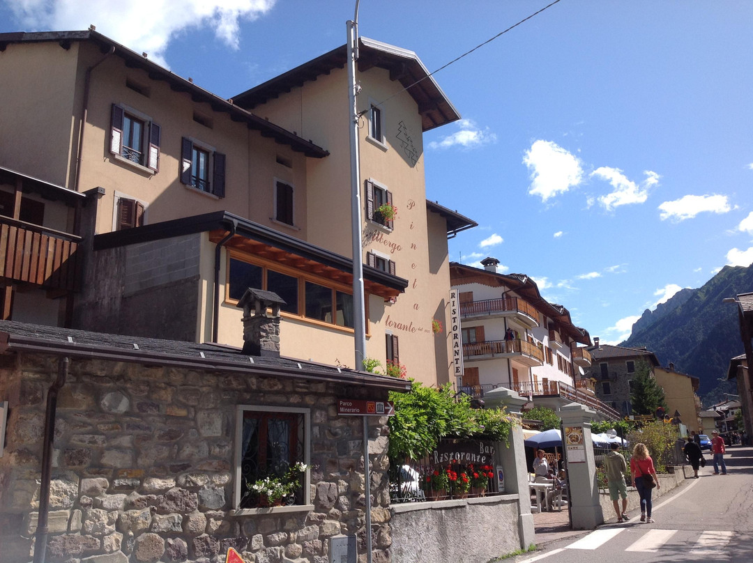 Vilminore di Scalve酒店住宿-Albergo Pineta