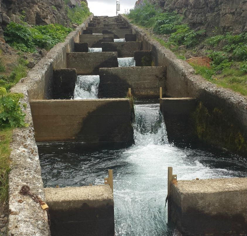 Faxi (Vatnsleysufoss) Waterfall-Skalholt必去景点