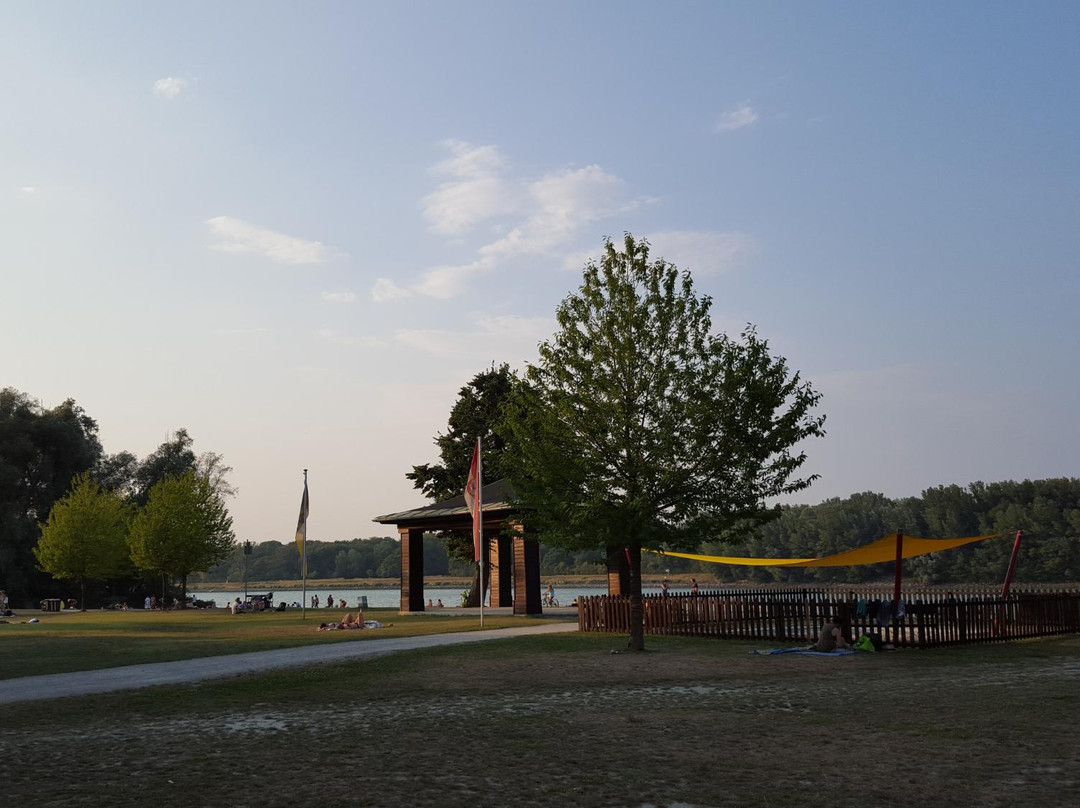 Strombad Kritzendorf-克罗斯腾新堡必去景点