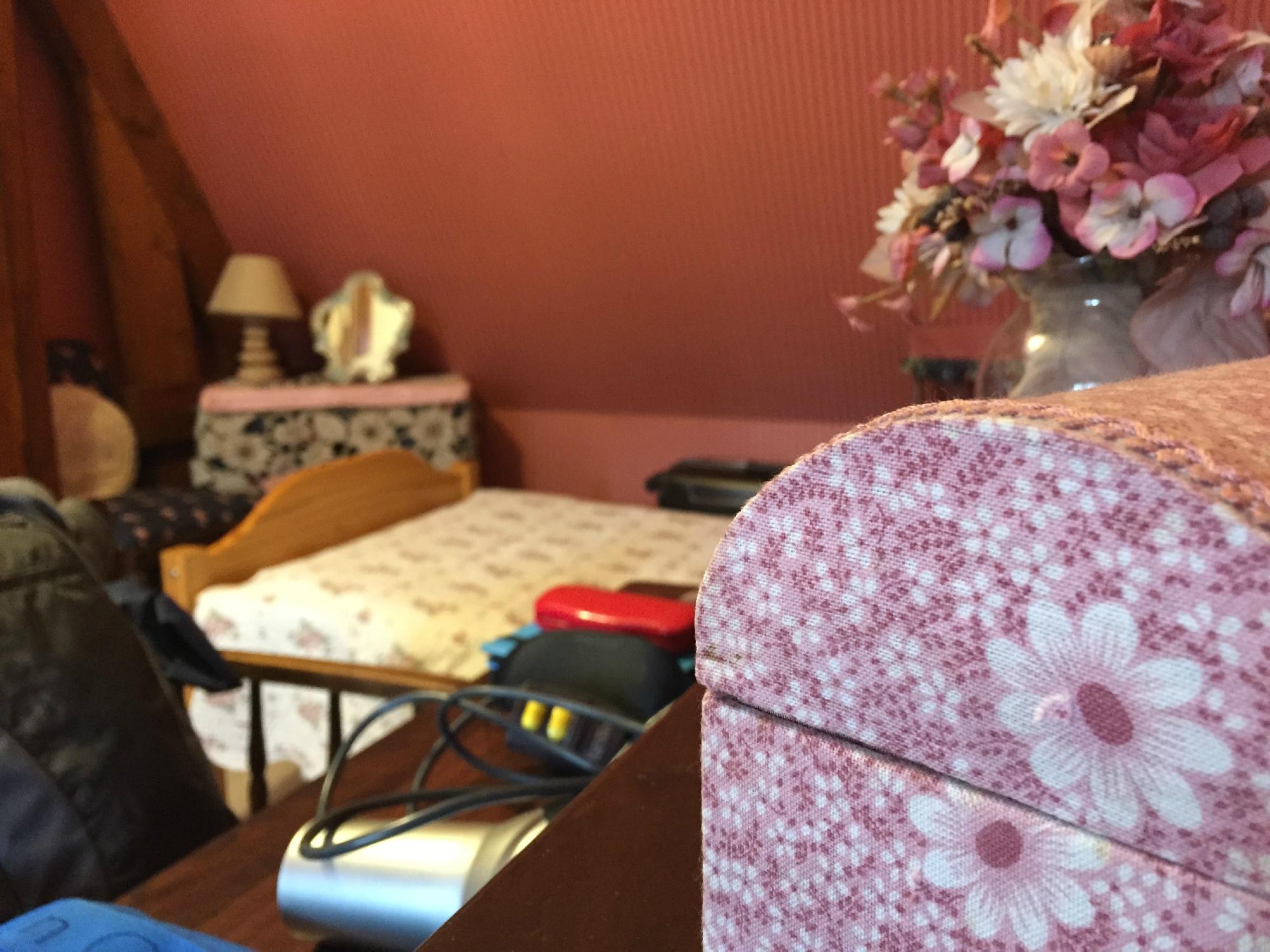 La Roseraie-客卧