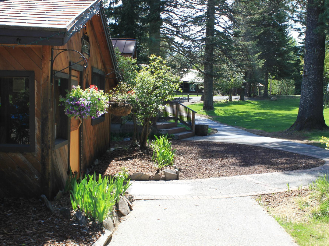 Tygh Valley餐馆和美食-Crooked Tree Tavern