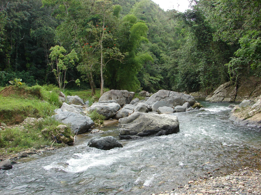 Arecibo River景点图片