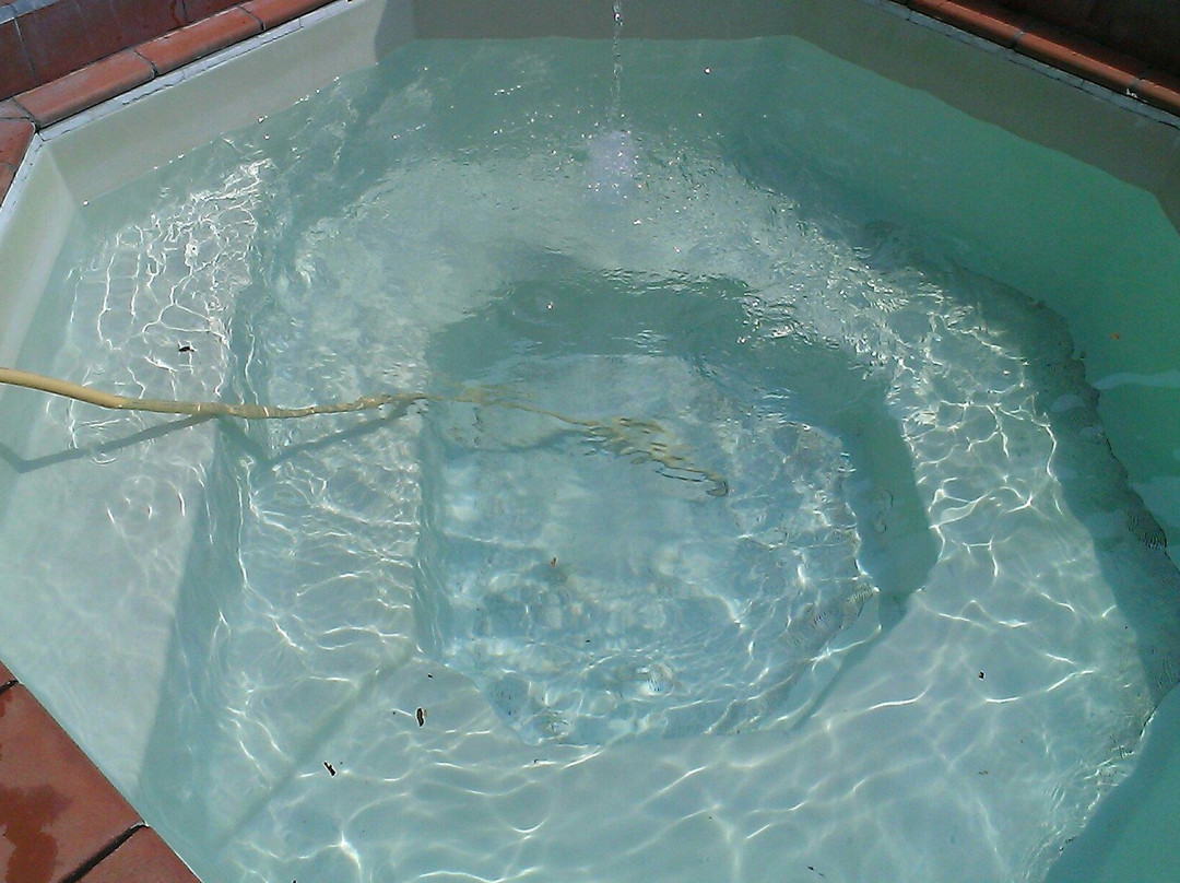 Piscine Moby Dick景点图片