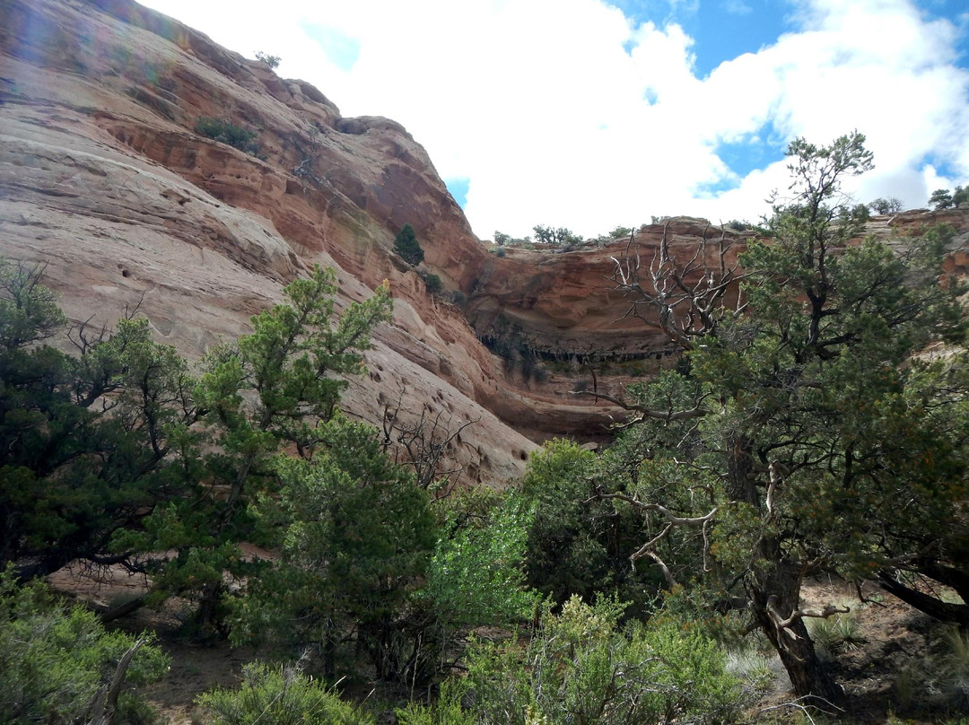 Neck Spring Trail-峡谷地国家公园必去景点