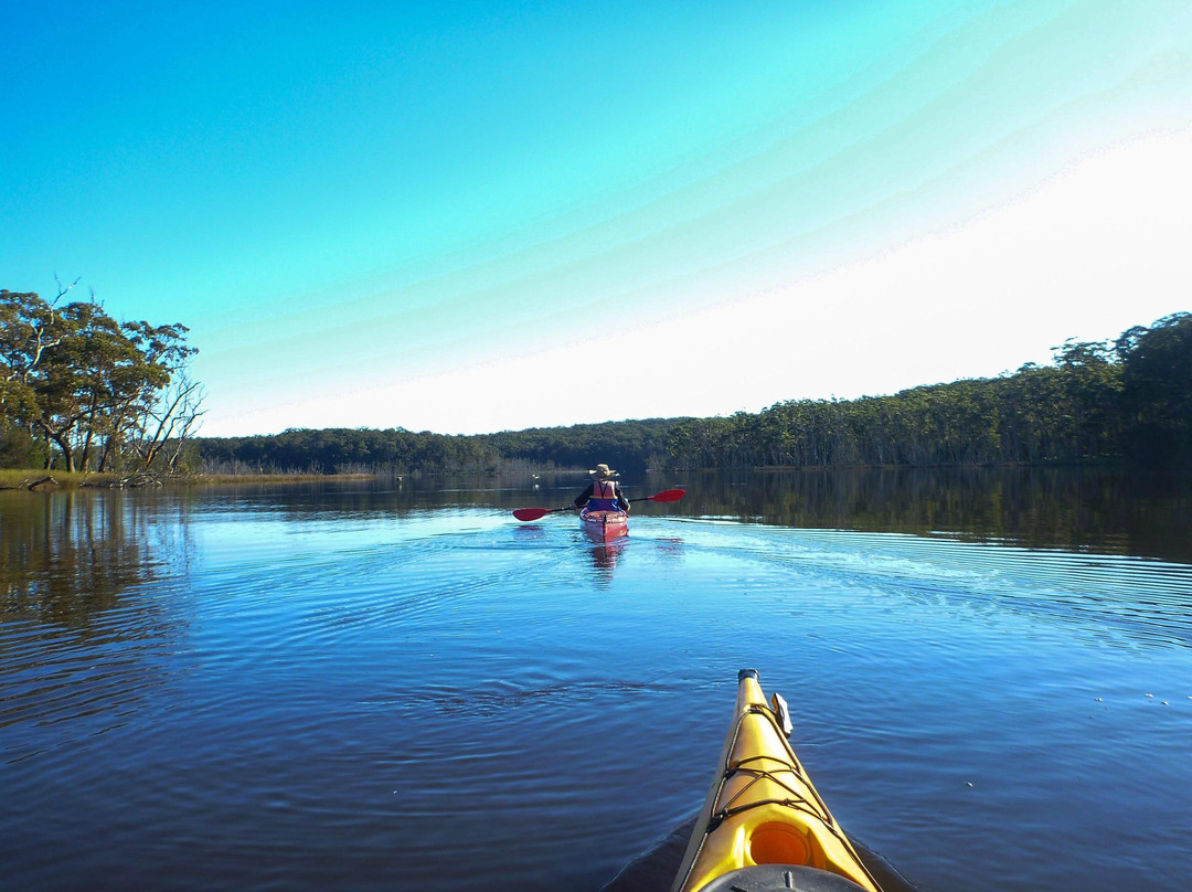 Bay and Beyond Sea Kayak Tours景点图片
