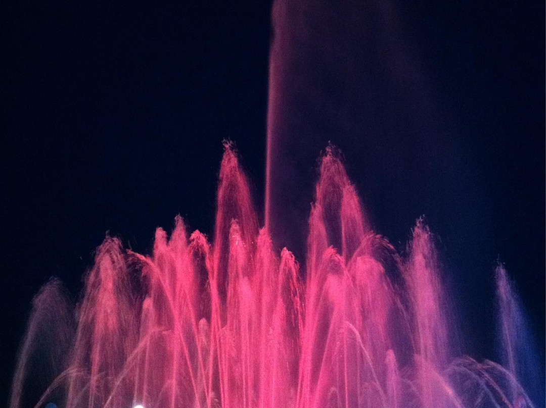 Light and Music Fountain Complex of the City of Sputnik-Zasechnoye必去景点