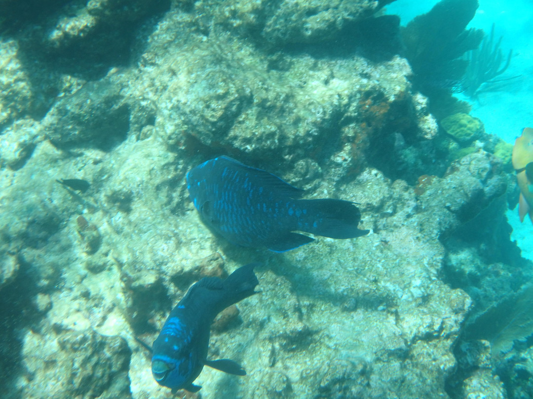 North Dry Rocks-拉哥岛必去景点