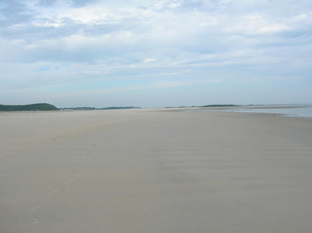 Crane Beach景点图片