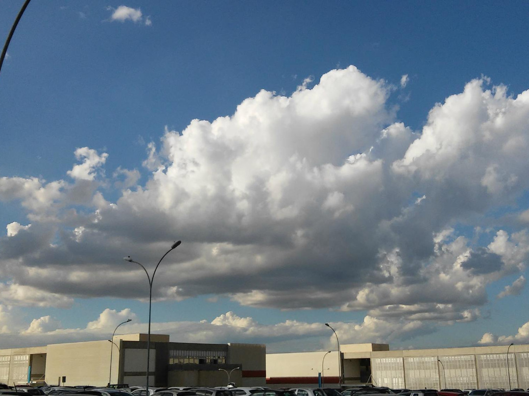 Herbário da Universidade de Brasília-巴西利亚必去景点