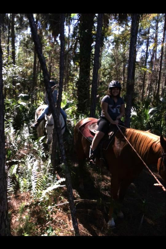 Rockin N Stables-塔拉哈西必去景点