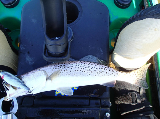 Rockport Kayak Guide Services-罗克波特必去景点