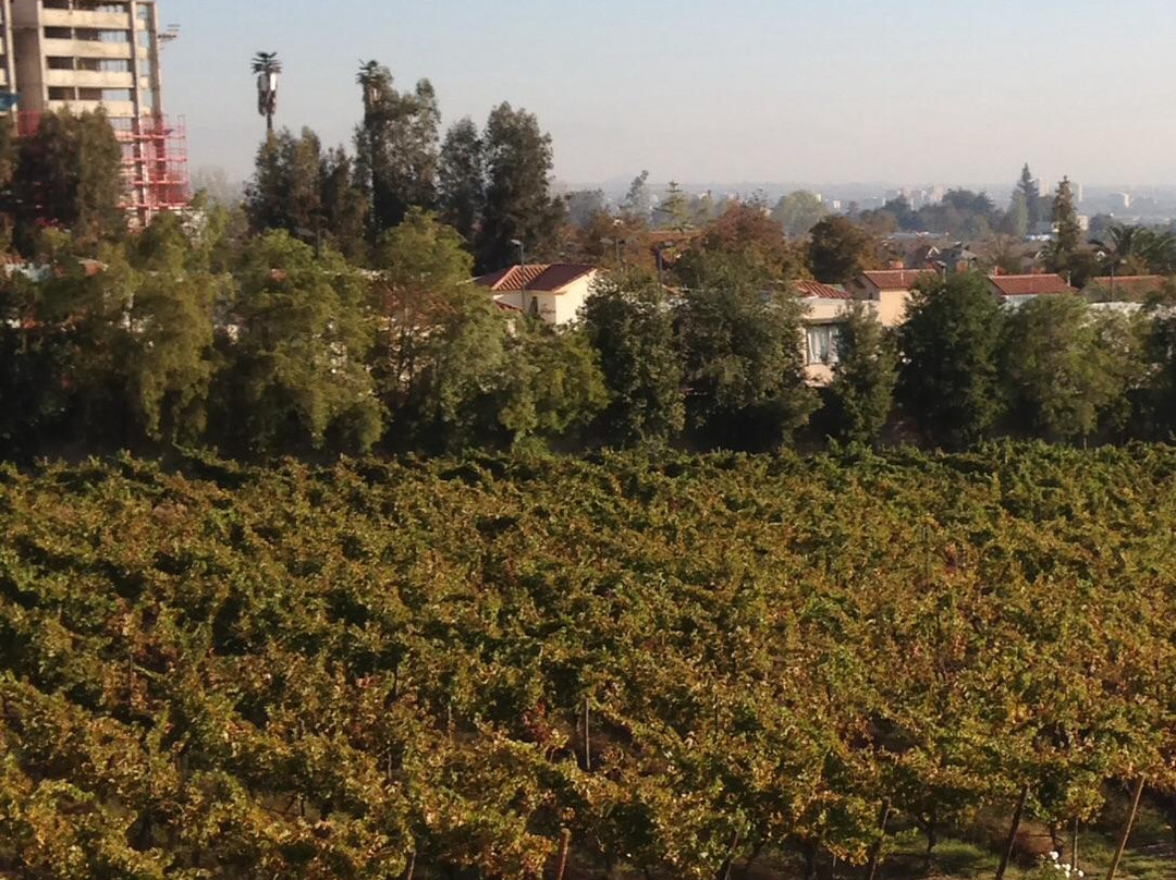 Vina Aquitania景点图片
