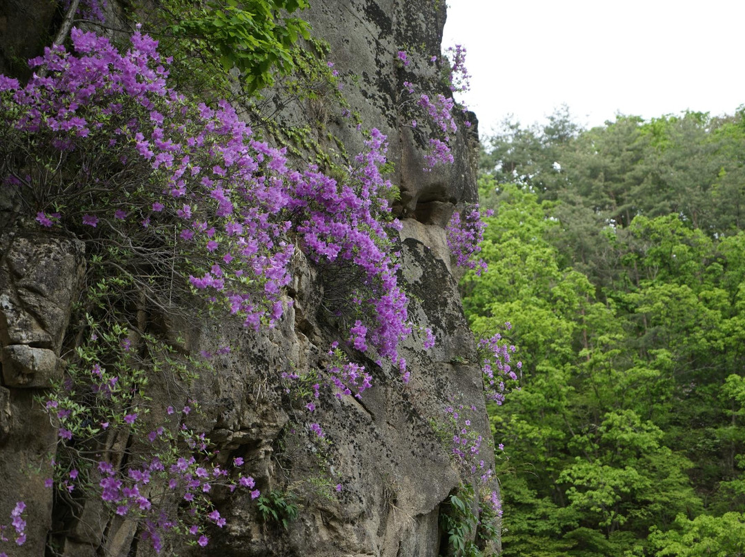 Goseokjeong Pavilion-铁原郡必去景点