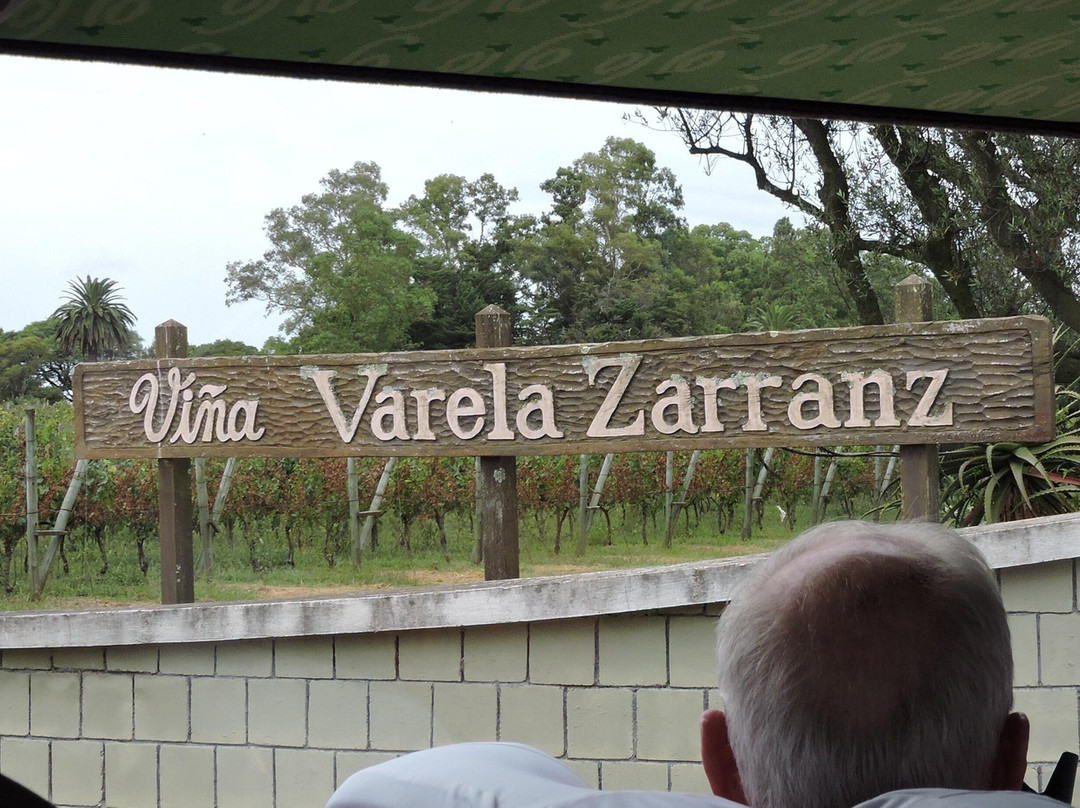 Varela Zarranz Winery-Canelones必去景点