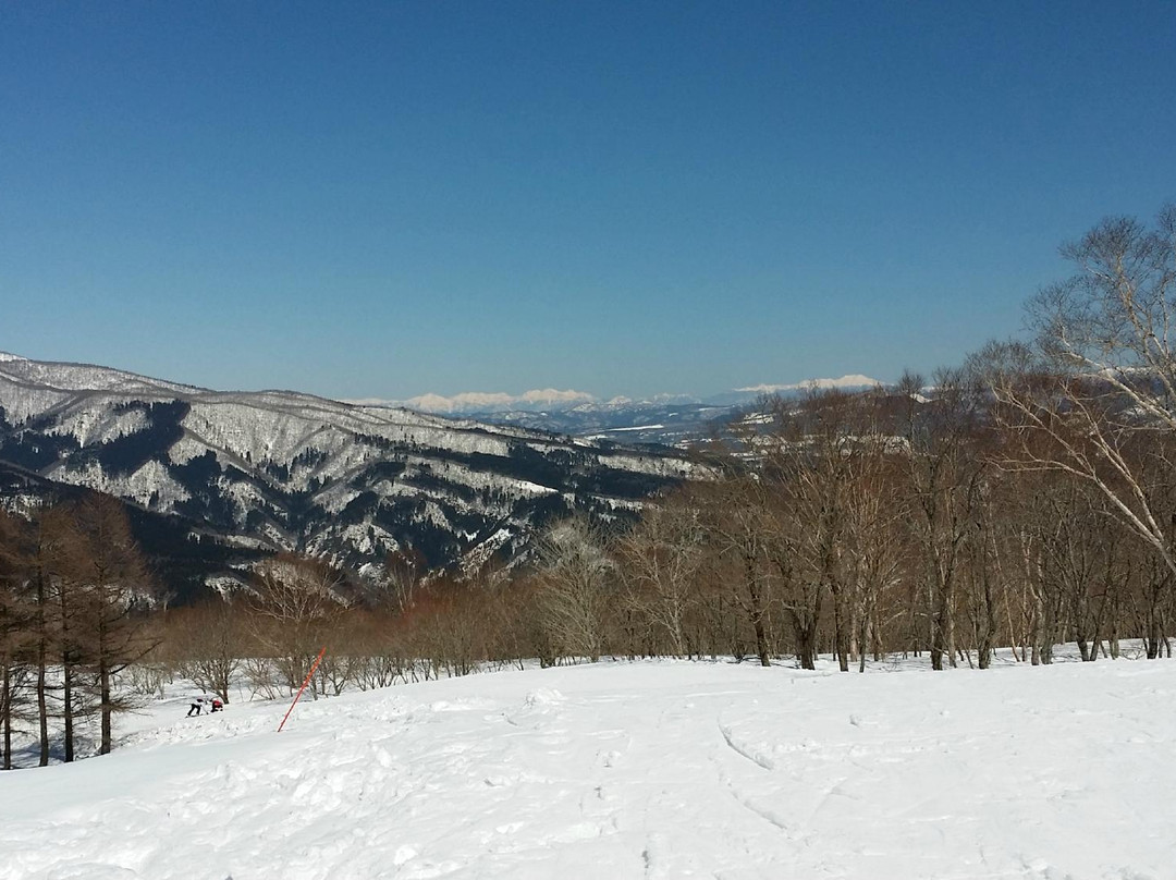 Snow Wave Park Shiratori Kogen-郡上市必去景点