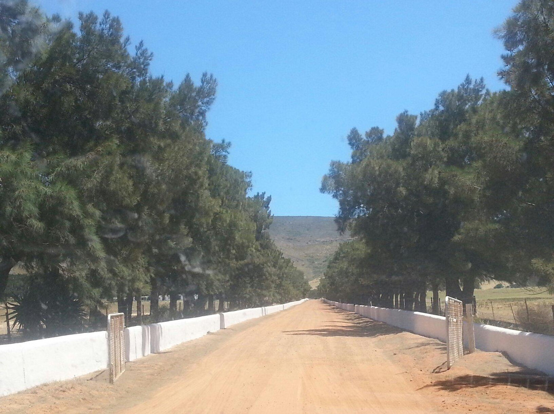 Cloof Wine Estate-Darling必去景点