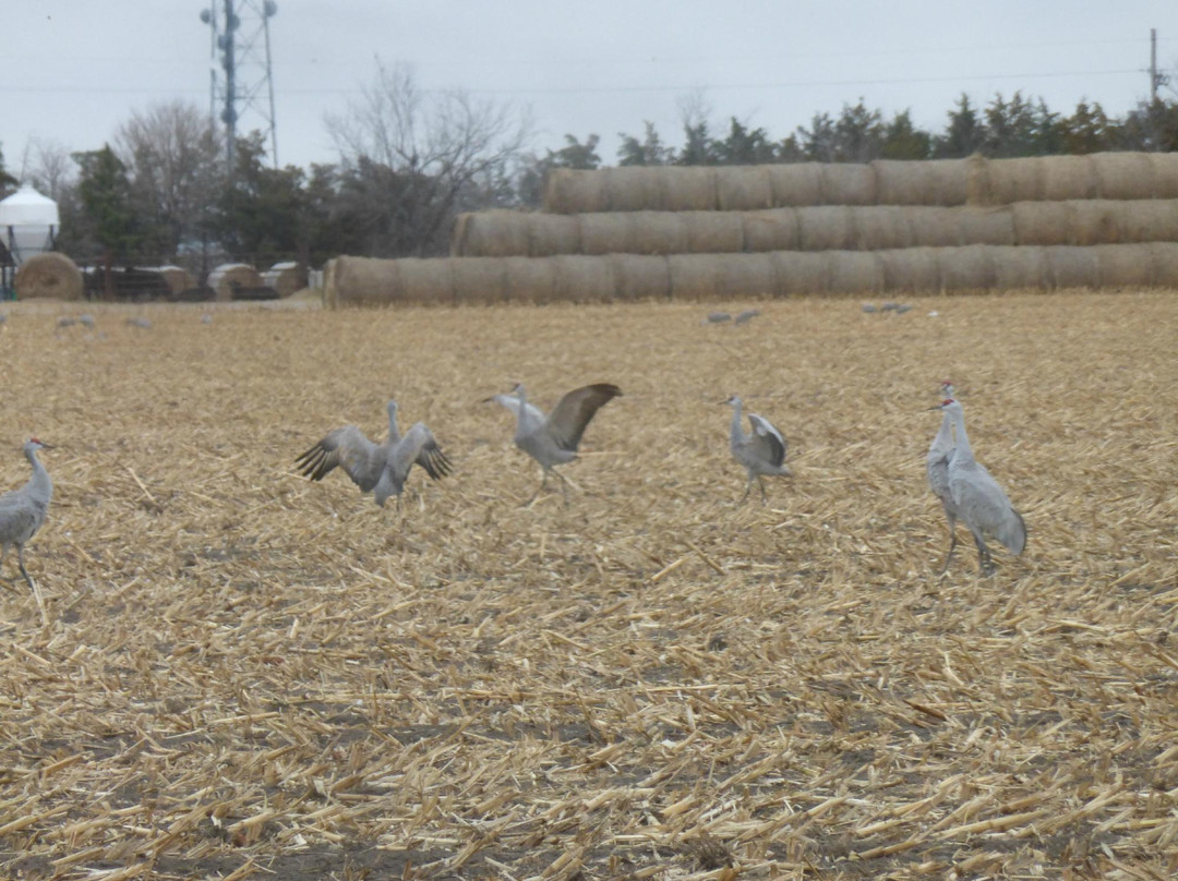 Platte River-格兰德岛必去景点