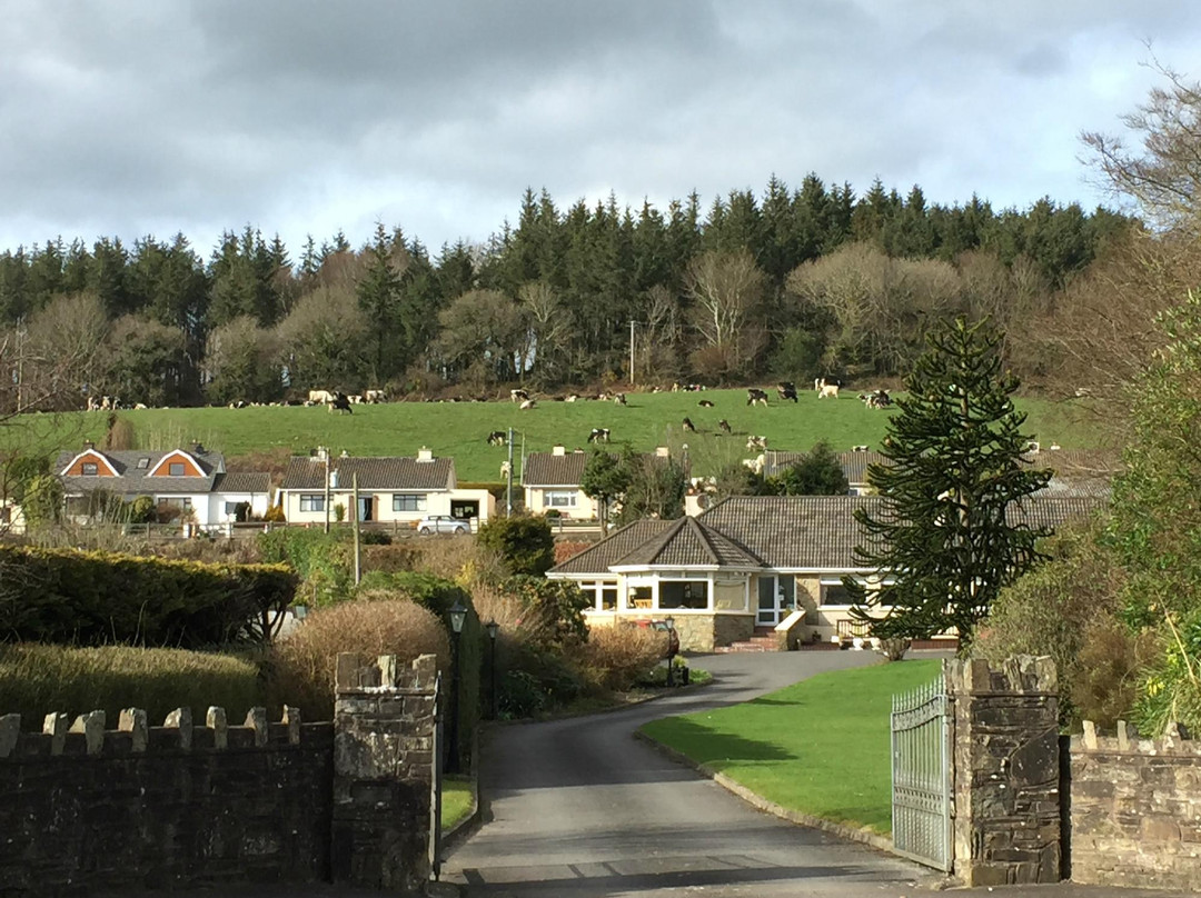 Pineforest B&B主图