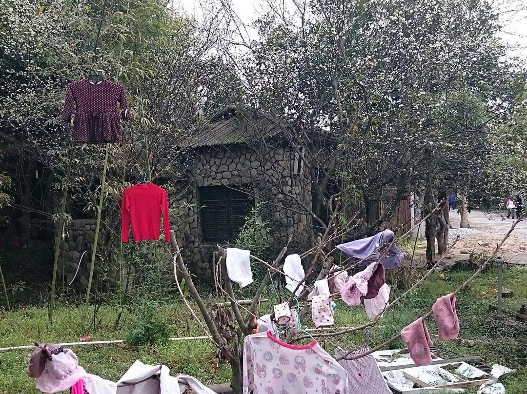 得雨生态园-浮梁县必去景点