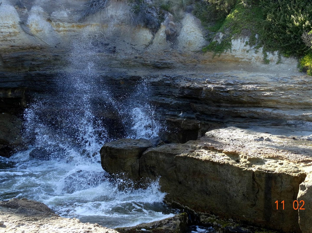 Blow Hole-伊格尔霍克内克必去景点