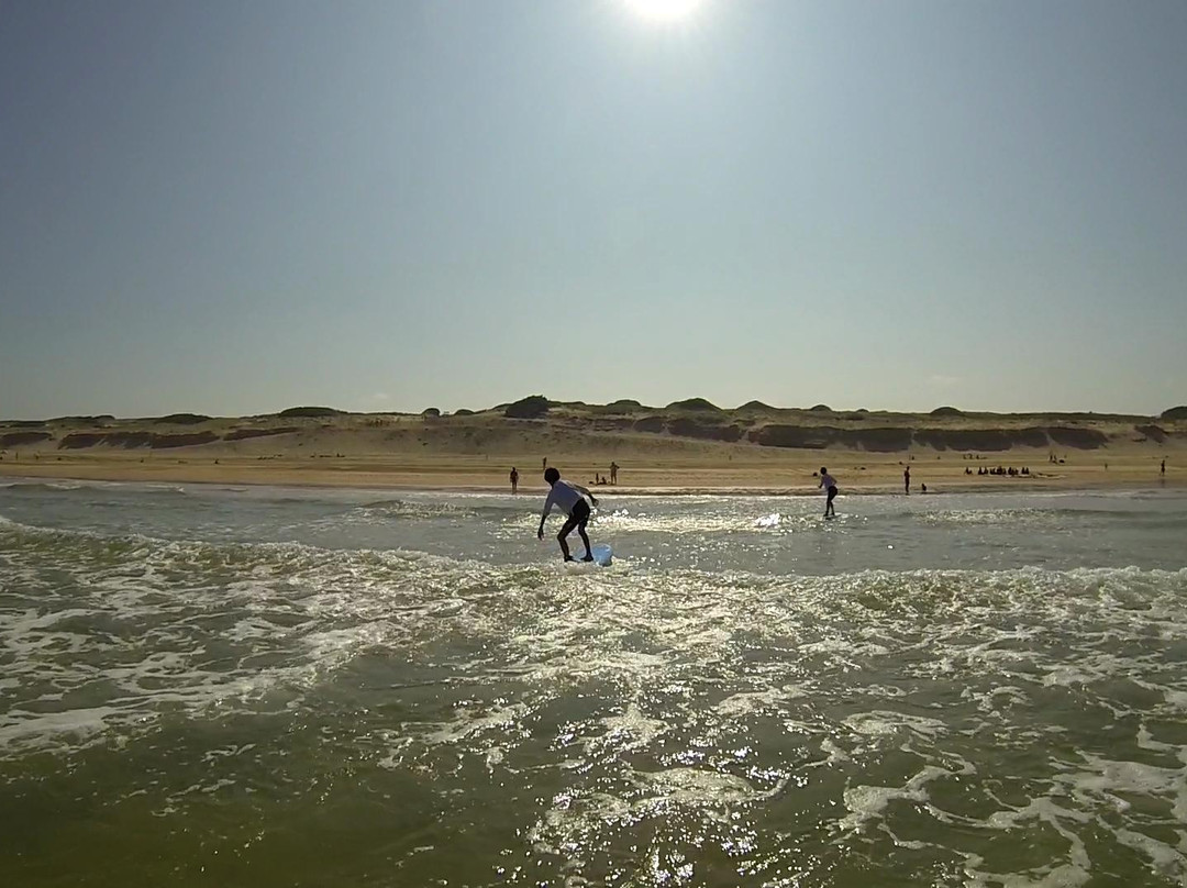 Kiwadu Surf School景点图片