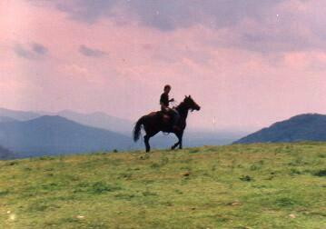 Mountaintop Ranch Wilderness Trail Rides-Elkton必去景点