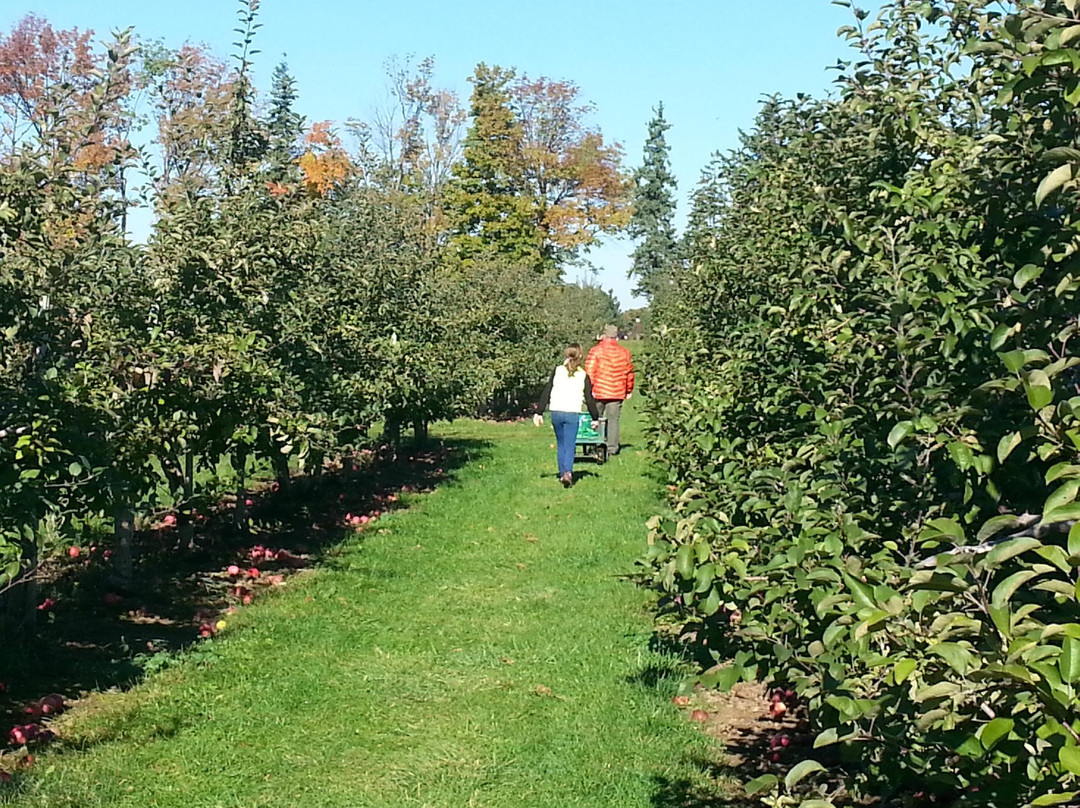 Frootogo Orchards-Waterdown必去景点
