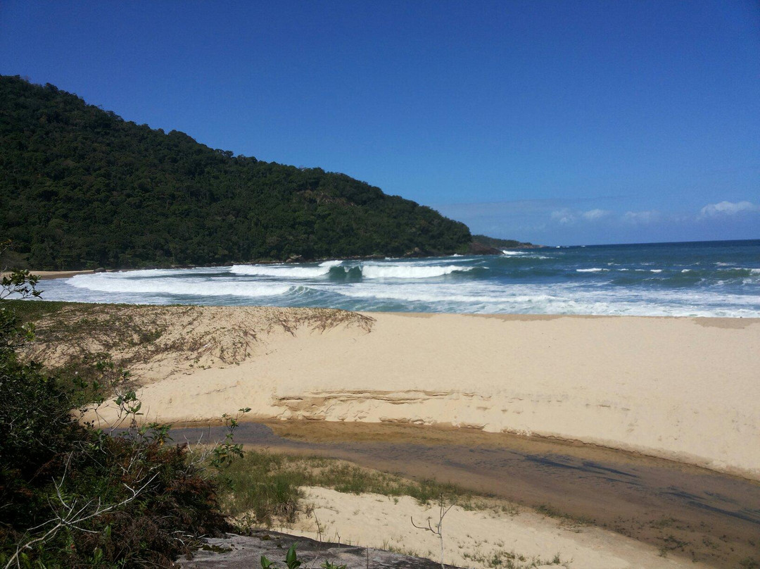 Praia Brava景点图片