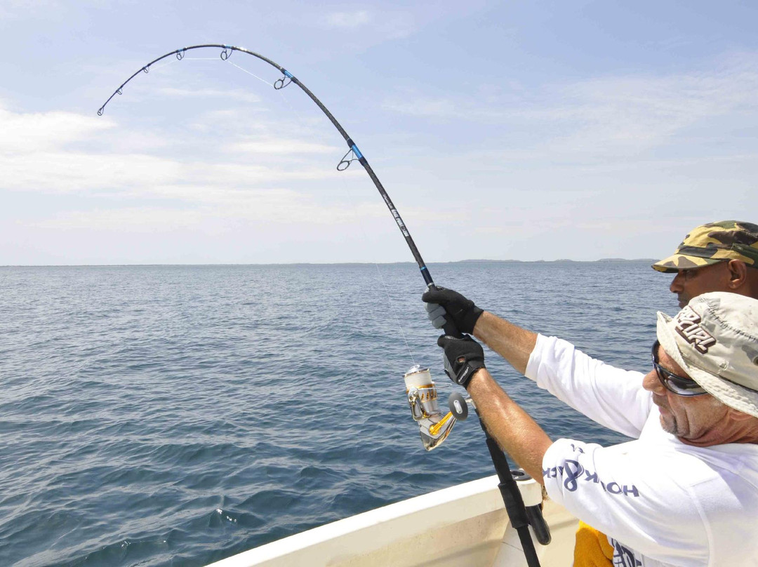 Gamefishing Asia Pvt Ltd-科伦坡必去景点