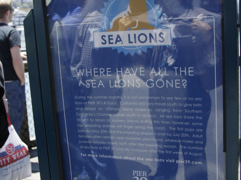 Sea Lion Center-旧金山必去景点