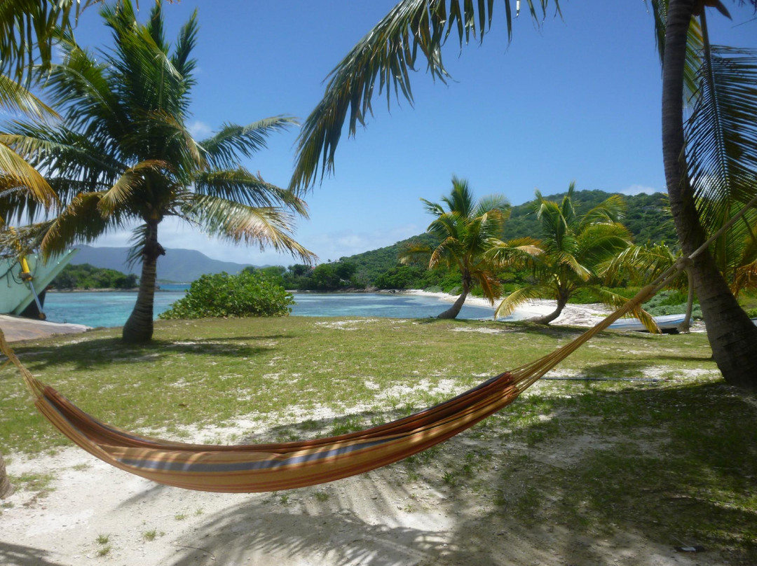 Pelican Beach Excursions-Coral Bay必去景点
