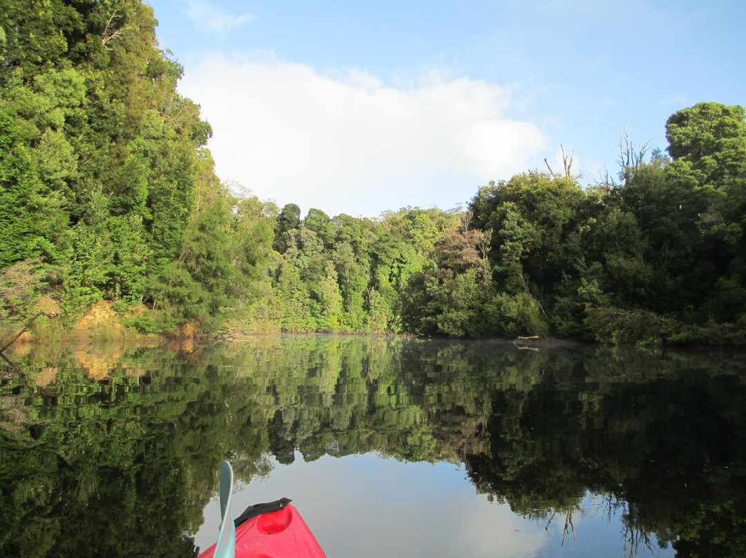 Launceston Kayak Tours-朗塞斯顿必去景点