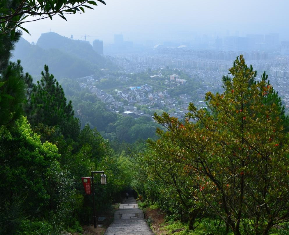 丽水莲都白云山景点图片