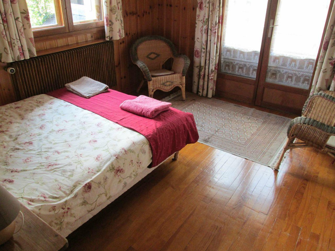 Servoz酒店住宿-Chalet Savoy