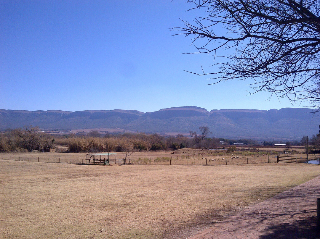 Van Gaalen Kaasmakerij-Madibeng必去景点