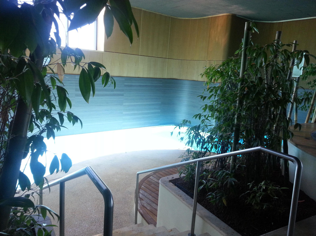 Monticello Spa景点图片