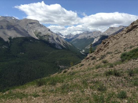 Little Elbow Campground