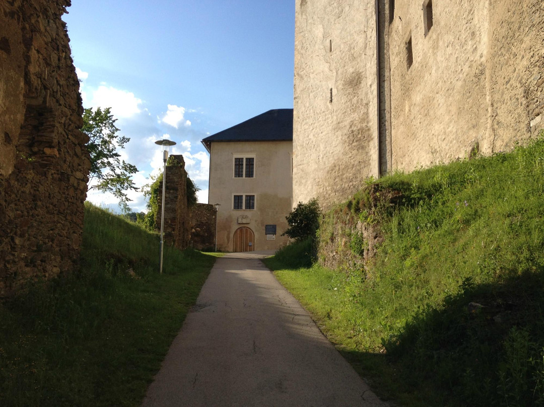 Strasbourg Castle主图