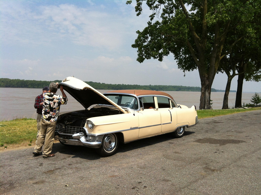 American Dream Safari-孟菲斯必去景点