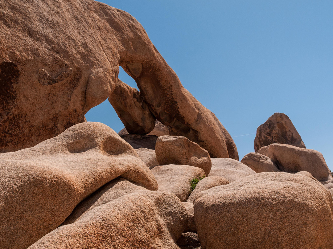 Arch Rock Nature Trail景点图片